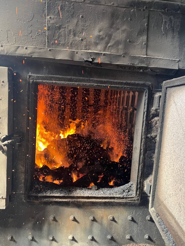 01KC1Z7SHJPAKDH7NPM0WZ4989