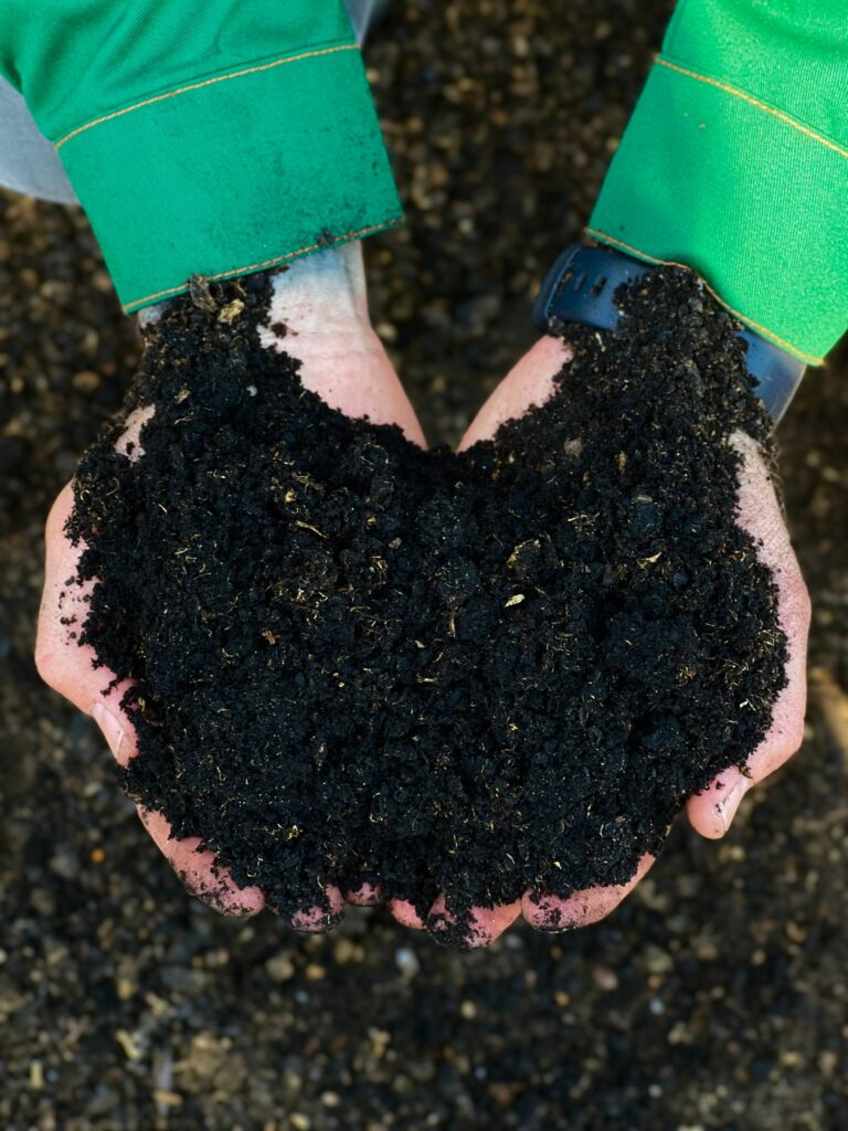 01KC1Z7SHN8NPFABPHKNJ8EXWV