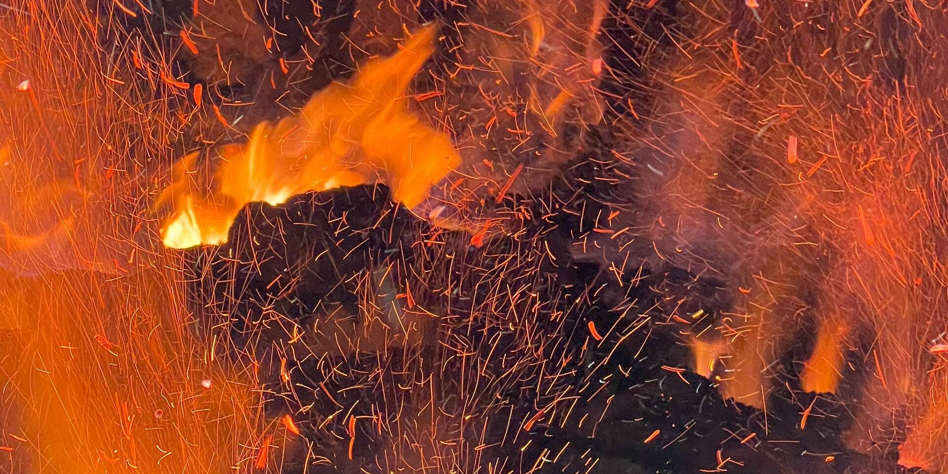 01KCNSJMWMG1T6RRH15XB04AD1